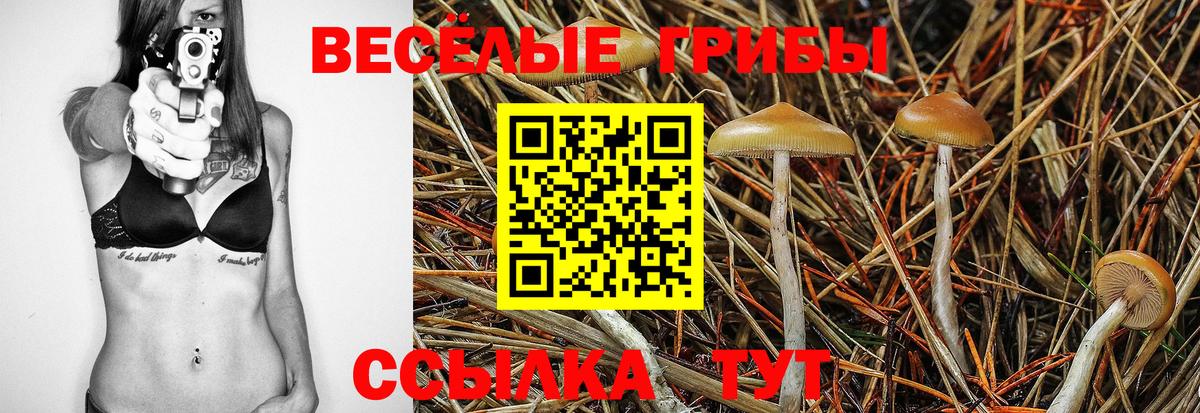 Псилоцибиновые грибы Magic Shrooms Новокубанск